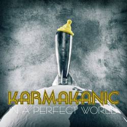 Karmakanic : In a Perfect World